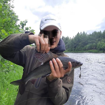Lapin Villa Hiisi Joen Rannalla Ranua Exteriör bild